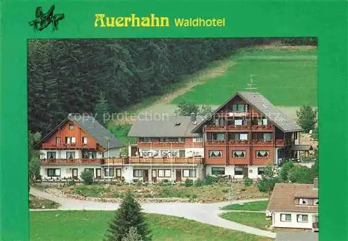 AK / Ansichtskarte  Bubenbach Eisenbach Waldhotel Auerhahn