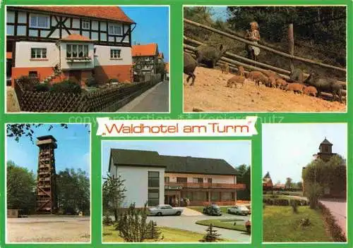 AK / Ansichtskarte  Burgholz Kirchhain Waldhotel am Turm Aussichtsturm Wildschweingehege