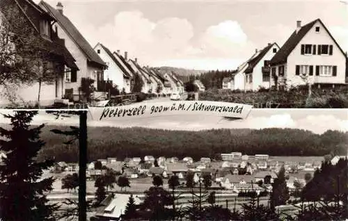 AK / Ansichtskarte  Peterzell Alpirsbach Freudenstadt BW Ortspartie Panorama