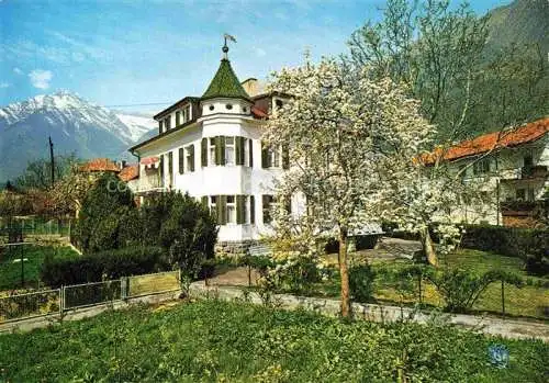 AK / Ansichtskarte  Algund Merano Suedtirol IT Pension Villa Scheiber Baumbluete