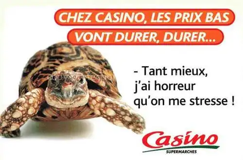 AK / Ansichtskarte  Schildkroeten Casino supermarches 