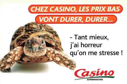 AK / Ansichtskarte  Schildkroeten Casino supermarches