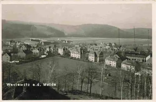 AK / Ansichtskarte  Westewitz Mulde Grossweitzschen Sachsen Panorama