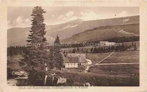 AK / Ansichtskarte  Hasenbaude Schlingelbaude Riesengbirge Schneekoppe PL Panorama