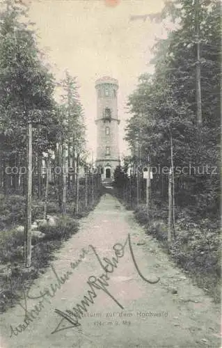 AK / Ansichtskarte  Oybin Sachsen Aussichtsturm auf dem Hochwald