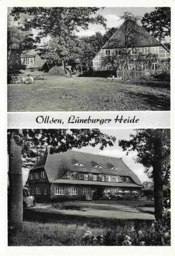 AK / Ansichtskarte  Ollsen Lueneburger Heide Hanstedt Harburg Park Gasthaus