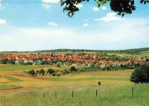 AK / Ansichtskarte  Beerfelden Odenwald Hessen Panorama