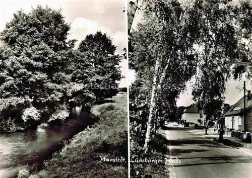 AK / Ansichtskarte  Hanstedt Nordheide Lueneburger Heide Landschaft Bach Strassenpartie