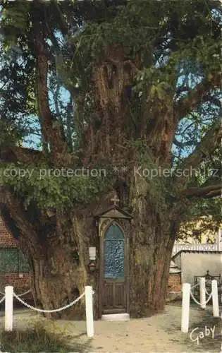 AK / Ansichtskarte  La Haye-de-Routot Bernay 27 Eure L'If Chapelle