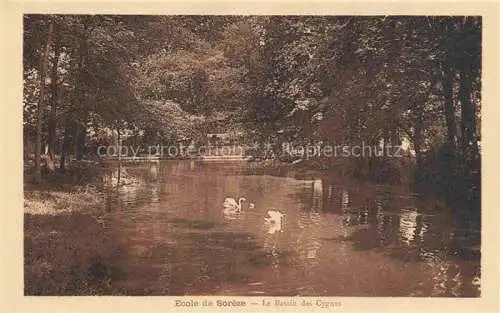 AK / Ansichtskarte  Soreze 81 Tarn Ecole de Sorèze Parc Bassin des cygnes