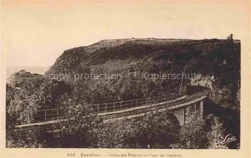 AK / Ansichtskarte  Carolles 50 Manche Vallée des Peintres et Pont du Crapeux