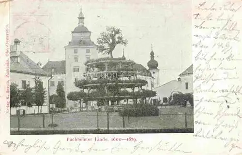 AK / Ansichtskarte  Puchheim Attnang Traunviertel Oberoesterreich AT Puchheimer Linde