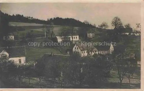 AK / Ansichtskarte  Radnovice Radniowitz Reichenberg CZ Panorama