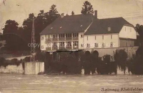 AK / Ansichtskarte  Rheinfelden Baden BW Salmegg