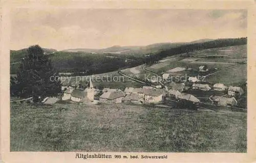 AK / Ansichtskarte  Altglashuetten Feldberg Schwarzwald Panorama