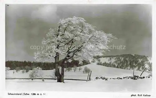 AK / Ansichtskarte  Schauinsland Oberried BW Winterpanorama Schwarzwald