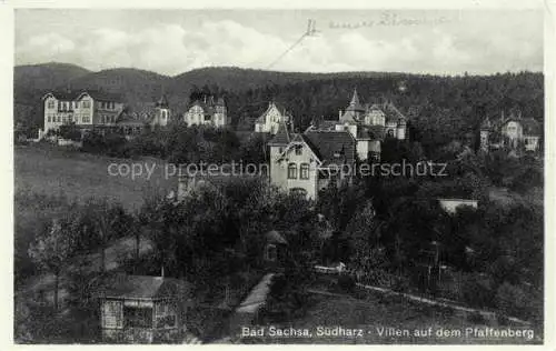 AK / Ansichtskarte  Bad Sachsa Osterode Harz Villen auf dem Pfaffenberg