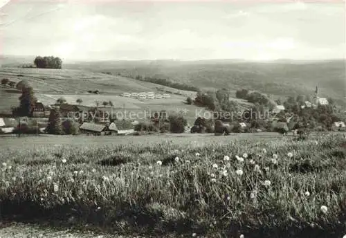 AK / Ansichtskarte  Wildbach Panorama