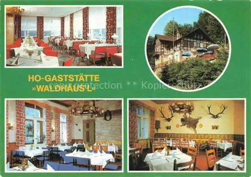 AK / Ansichtskarte  Bad Schandau Saechsische Schweiz-Osterzgebirge HO-Gaststaette Waldhaeusl Gastraum Baude Jagdzimmer