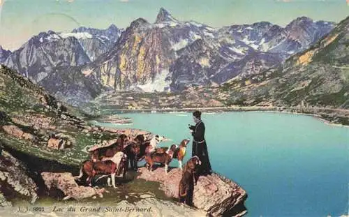 AK / Ansichtskarte  Hunde dogs chiens Lac du Grand Saint Bernard J.J. Nr. 8921