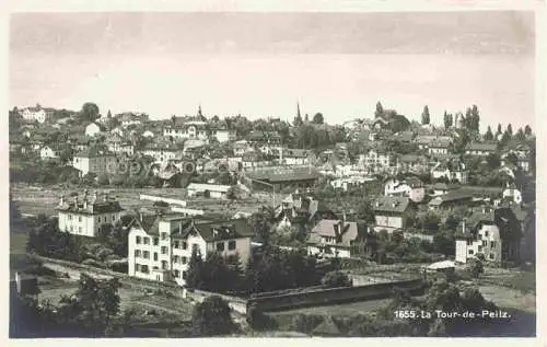 AK / Ansichtskarte  La Tour-de-Peilz VD Panorama