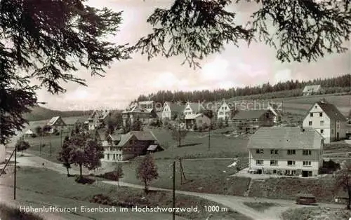 AK / Ansichtskarte  Eisenbach Schwarzwald Panorama