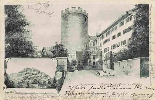 AK / Ansichtskarte  Regensberg Dielsdorf ZH Erziehungsanstalt Schloss Regensberg