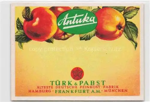 AK / Ansichtskarte  Obst Fruit Frutta Fruta-- Saft Frankfurt Main Antuka 