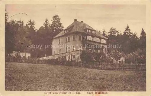 AK / Ansichtskarte  Pulsnitz Bautzen Sachsen Cafe Waldhaus