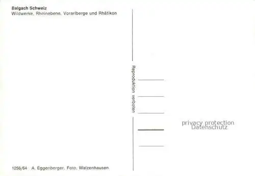 AK / Ansichtskarte  Balgach Rheintal SG Wildwerke Rheinebene Vorarlberge und Rhaetikon