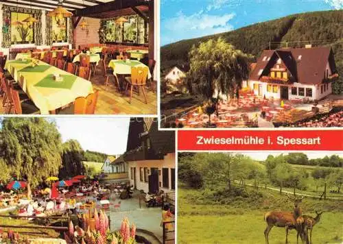 AK / Ansichtskarte  Zwieselmuehle Schollbrunn Gasthof Pension zur Zwieselmuehle Gastraum Terrasse Wild