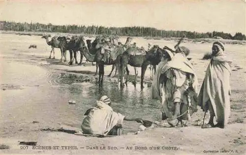 AK / Ansichtskarte  Kamele  Camel Chameau-- Scenes Types Dans Sud Au Bord Chott Afrika