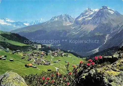 AK / Ansichtskarte  Inner-Arosa GR Panorama Alpenrosen Alpenflora