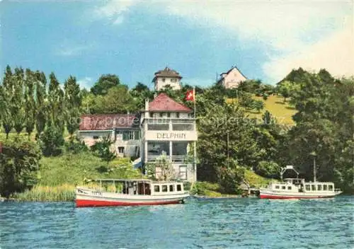 AK / Ansichtskarte  Meisterschwanden Lenzburg AG Restaurant Delphin Fahrgastschiffe Ansicht vom See aus