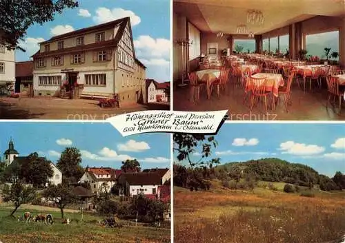 AK / Ansichtskarte  Neunkirchen Odenwald Hoehengasthof Pension Gruener Baum Landschaftspanorama