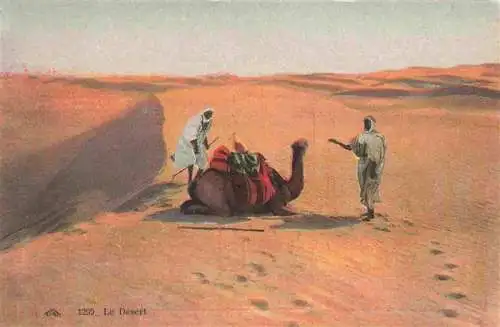 AK / Ansichtskarte  Kamele  Camel Chameau-- Le Desert 