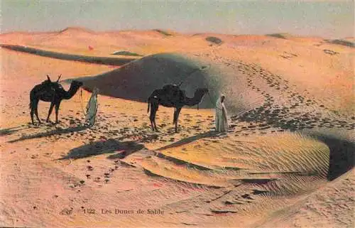 AK / Ansichtskarte  Kamele  Camel Chameau-- Les Dunes Sable