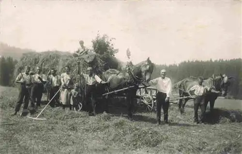 AK / Ansichtskarte  Landwirtschaft Pferde 