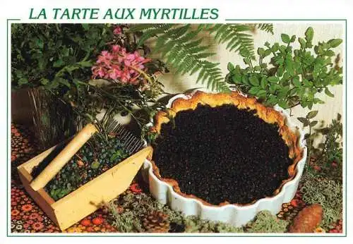 AK / Ansichtskarte  Rezept Recette-- Tarte aux Myrtilles 