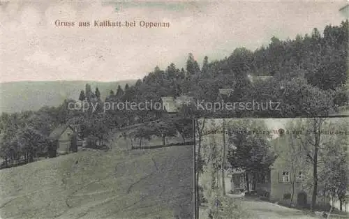 AK / Ansichtskarte  Kalikutt Oppenau Ortenaukreis BW Panorama Gasthaus zum gruenen Wald