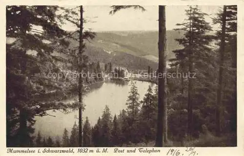 AK / Ansichtskarte  Mummelsee Panorama Blick ins Tal vom Waldrand aus