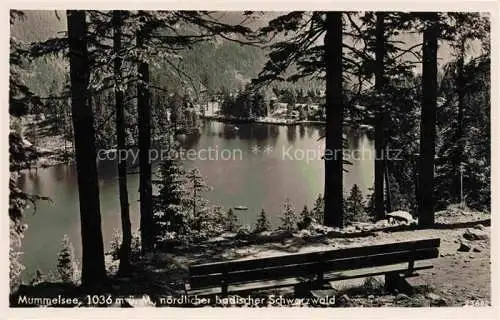 AK / Ansichtskarte  Mummelsee Blick auf den See Ruhebank im Wald