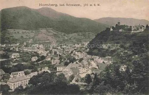 AK / Ansichtskarte  Hornberg  Schwarzwald Panorama