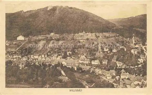 AK / Ansichtskarte  WILDBAD  Schwarzwald Stadtpanorama Feldpost