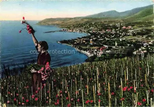 AK / Ansichtskarte  San Remo SANREMO Liguria IT Terra dei fiori Blumenland Kuestenpanorama