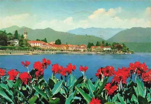 AK / Ansichtskarte  Baveno Lago Maggiore IT Panorama Blumenpracht