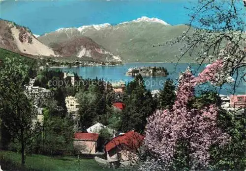 AK / Ansichtskarte  Stresa Borromeo Lago Maggiore IT e Isola Bella Baumbluete