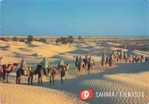 AK / Ansichtskarte  Kamele  Camel Chameau-- Sahara Tunisie