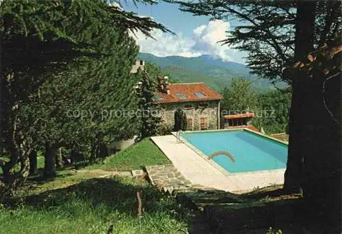 AK / Ansichtskarte  Prats-de-Mollo-la-Preste Ceret 66 Pyrenees-Orientales Domaine de Costerebe Piscine