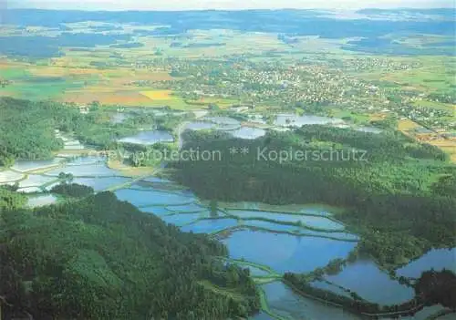 AK / Ansichtskarte  Tirschenreuth Grosse Teichpfanne